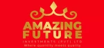 Amazing Future Investments Logo